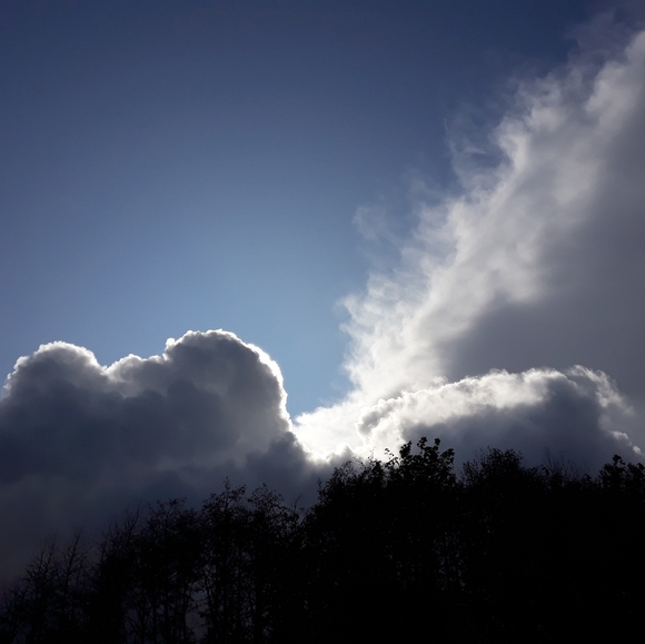 Meet your Posher, Janine - Picture 7 of 7